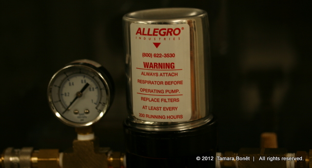 Closeup of Allegro (9806) 1/4-HP Oil-Less Air Pump